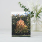 オハイオ州の秋のポストカード ポストカード (スタンド正面)