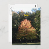 オハイオ州の秋のポストカード ポストカード (正面/裏面)