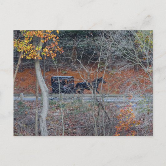 オハイオ州の秋の農村道路のアミッシュ乳母車 ポストカード (正面)