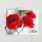 オハイオ州の花：赤カーネーション ポストカード (正面/裏面)