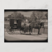 オハイオ州アミッシュカントリースガルクリーク ポストカード (正面)