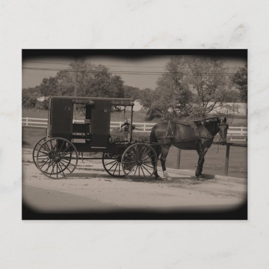 オハイオ州アミッシュカントリースガルクリーク ポストカード (正面)