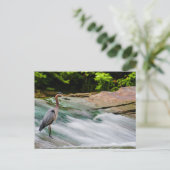 オハイオ州オールムステッド秋デビッド・フォルティエ・リバーパーク ポストカード (スタンド正面)