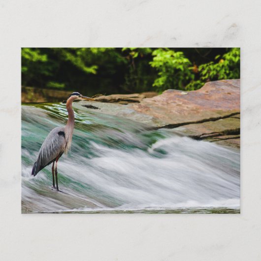 オハイオ州オールムステッド秋デビッド・フォルティエ・リバーパーク ポストカード (正面)