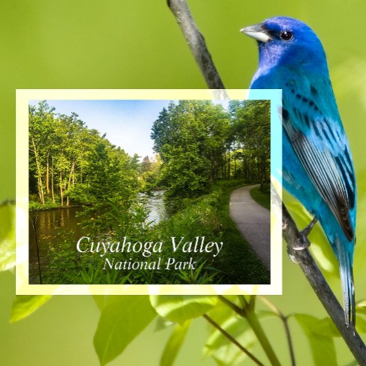 オハイオ州キュヤホガバレーのカナルウェイにあるTowpath Trail ポストカード