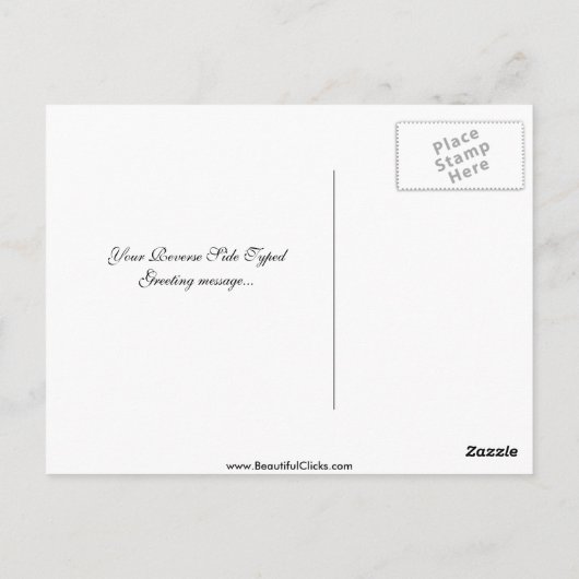 オハイオ州クリーブランド州公園，ラグアナ山の森 ポストカード (裏面)