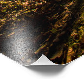 オハイオ州グルベポートのウォルナットウッズメトロパーク フォトプリント            (角)