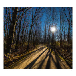 オハイオ州グルベポートのウォルナットウッズメトロパーク フォトプリント           