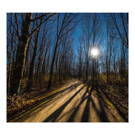 オハイオ州グルベポートのウォルナットウッズメトロパーク フォトプリント            (正面)