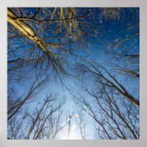 オハイオ州グローブシティScioto Grove Metro Park