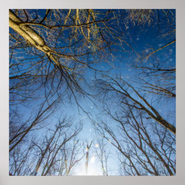 オハイオ州グローブシティScioto Grove Metro Park ポスター