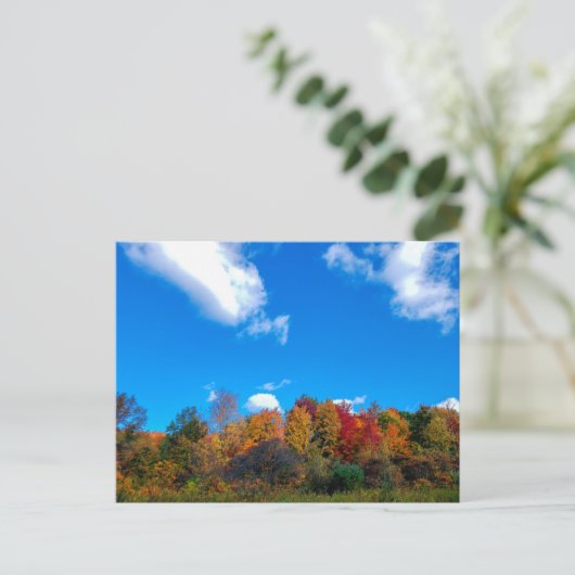 オハイオ州コロンバスの秋にあるブレンドンウッズメトロパーク ポストカード (スタンド正面)