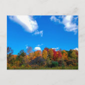オハイオ州コロンバスの秋にあるブレンドンウッズメトロパーク ポストカード (正面)
