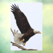 オハイオ州コロンビアナのハゲのワシ ウィンドウサイン (シート3)