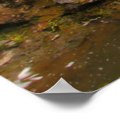 オハイオ州セダルビルのシダークリフ滝 ポスター (角)