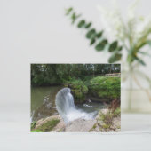 オハイオ州セダルビルのシダークリフ滝 ポストカード (スタンド正面)