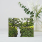 オハイオ州セダルビルのシダークリフ滝 ポストカード (スタンド正面)