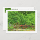 オハイオ州トレドのトレド植物園 ポストカード (正面/裏面)