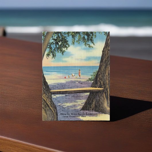 オハイオ州バーミリオンのボーラビーチ ポストカード