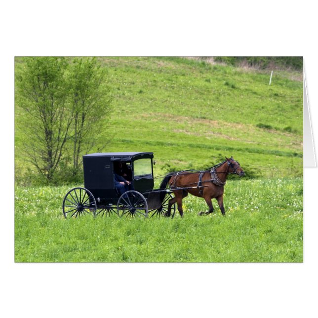オハイオ州バーリン近郊のアーミッシュの馬と馬車 (正面横)