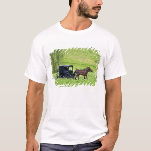 オハイオ州バーリン近郊のアーミッシュの馬と馬車 Tシャツ (正面)