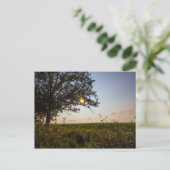 オハイオ州ビゲロー墓地州リザース ポストカード (スタンド正面)