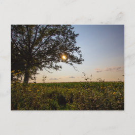 オハイオ州ビゲロー墓地州リザース ポストカード