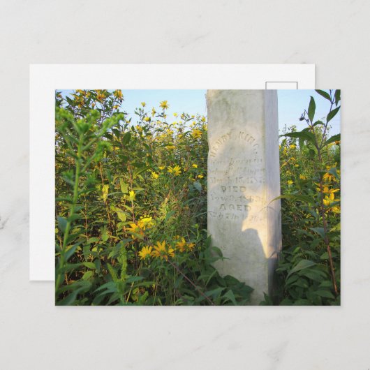 オハイオ州ビッグロー墓地、プレーリー墓石 ポストカード (正面/裏面)