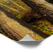 オハイオ州フェアフィールド郡ミンクホローカバー橋 ポスター (角)