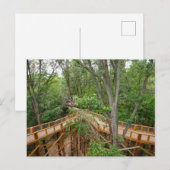 オハイオ州ブラックリック・ウッズメトロパークのキャノピーウォーク ポストカード (正面/裏面)