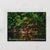 オハイオ州ブルー石灰岩パークデラウェア ポストカード (正面/裏面)