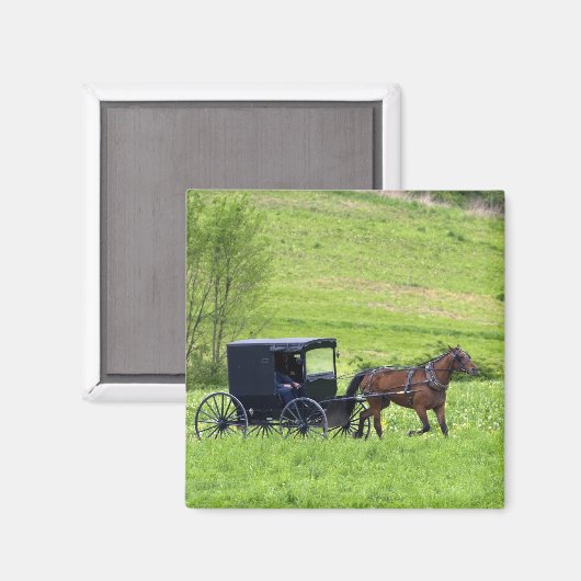オハイオ州ベルリンの近くのアーミッシュの馬と乳母車。 マグネット (正面/裏面)