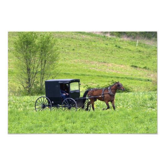 オハイオ州ベルリン近郊のアーミッシュの馬と馬車 フォトプリント            (正面)