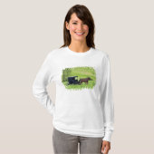 オハイオ州ベルリン近郊のアーミッシュの馬車 Tシャツ (正面フル)
