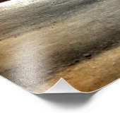 オハイオ州ホッキングヒルズのロックハウス フォトプリント            (角)