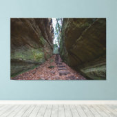 オハイオ州ホッキングヒルズ州パーク キャンバスプリント (インサイチュ (ウッドフロア))