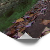 オハイオ州ホッキングヒルズ州パーク ポスター (角)