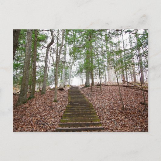 オハイオ州ホッキングヒルズ州パーク ポストカード (正面)