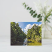 オハイオ州モヒカン州パーク夏のモヒカン川 ポストカード (スタンド正面)