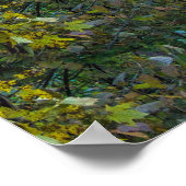 オハイオ州モヒカン州パークMohican Gorge Overlook ポスター (角)