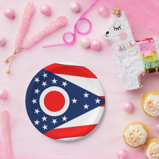 オハイオ州旗を持つ愛国的紙プレート ペーパープレート (パーティー)