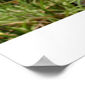 オハイオ州，ベル&ガーデン ポスター (角)