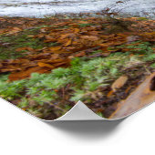 オハイオ州Cuyahoga Valley NP，バターミルク滝 ポスター (角)