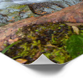 オハイオ州Cuyahoga Valley NP，バターミルク滝 ポスター (角)