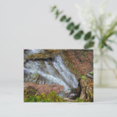 オハイオ州Cuyahoga Valley NP，バターミルク滝 ポストカード (スタンド正面)