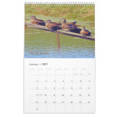 オハイオ暦の野鳥 カレンダー (1月 2027)