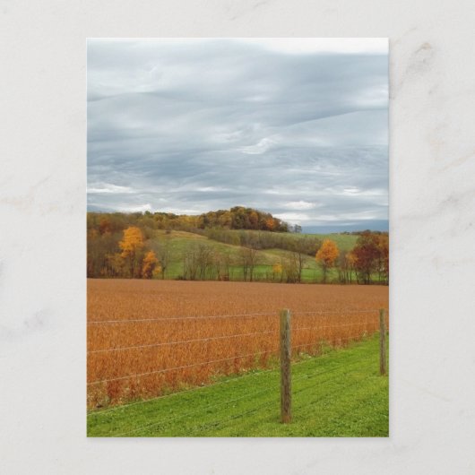 オハイオ渓谷 ポストカード (正面)