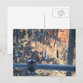 オハイオ秋 ポストカード (正面/裏面)