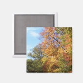 オハイオ秋#3 マグネット (正面/裏面)