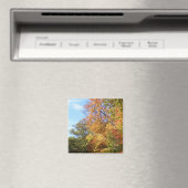 オハイオ秋#3 マグネット (インサイチュ (食洗機))